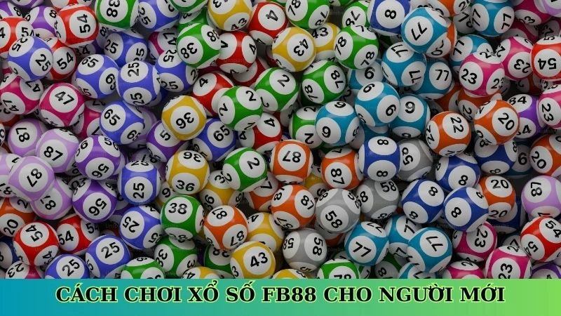 Cách chơi xổ số Fb88 cho người mới